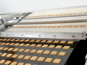 Rotary Template Depositor