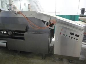 Oven In-feed Conveyor
