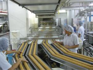 Automatic Inline Feeding System (for Sandwiching Machine)