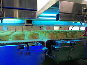 Bread / Cake Double Deck Switchover Cooling Conveyor