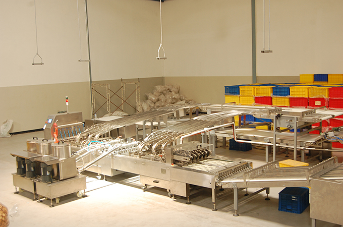 Automation Feeding System to 6 Lanes Sandwiching Machine in Indonesia