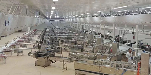 Biscuit Sandwiching Line
